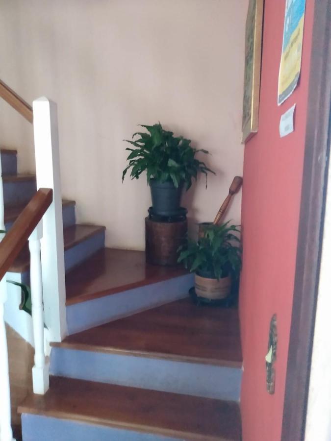 Casa Flor De Liz Villa กังโปสดูจอร์เดา ภายนอก รูปภาพ