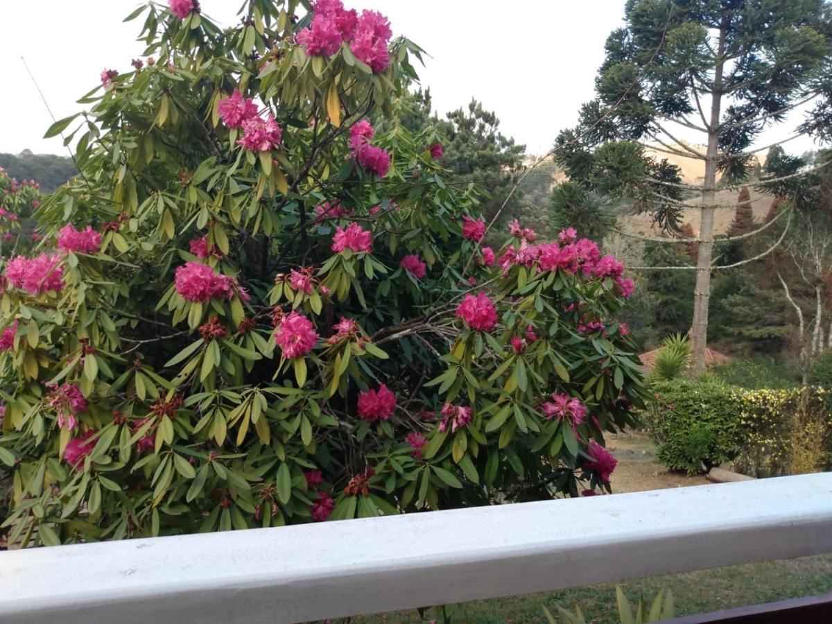Casa Flor De Liz Villa กังโปสดูจอร์เดา ภายนอก รูปภาพ